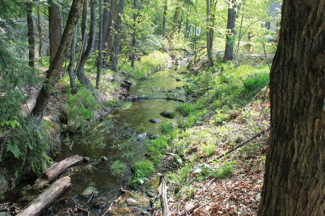 158 Pollard Road, Lincoln, NH 03251