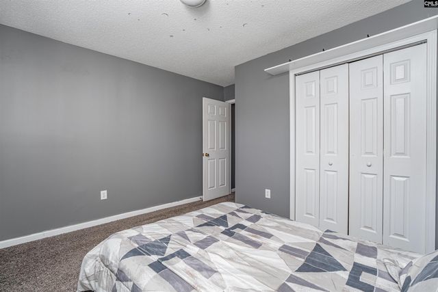 313 Beltrees Drive, Lexington, SC 29072