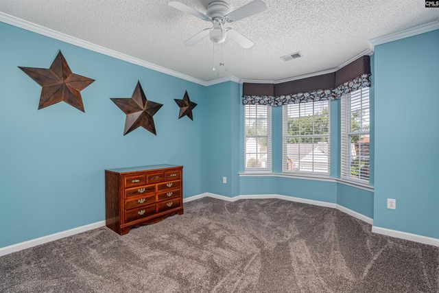 313 Beltrees Drive, Lexington, SC 29072