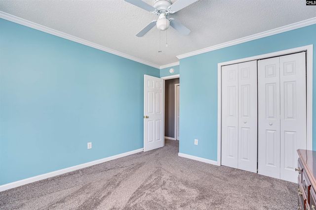 313 Beltrees Drive, Lexington, SC 29072