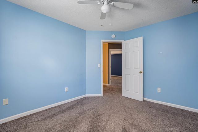 313 Beltrees Drive, Lexington, SC 29072