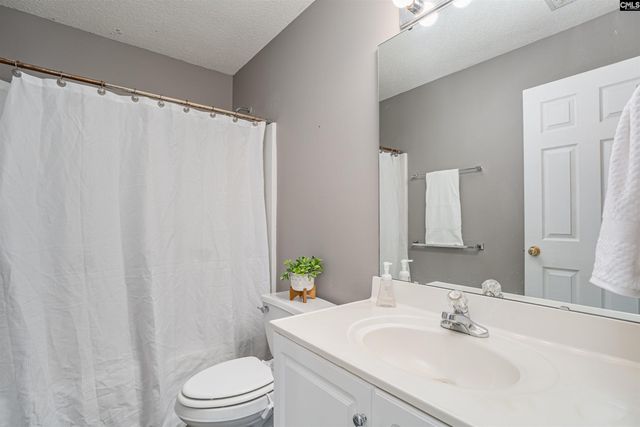 313 Beltrees Drive, Lexington, SC 29072