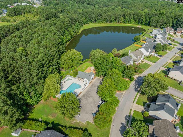 313 Beltrees Drive, Lexington, SC 29072