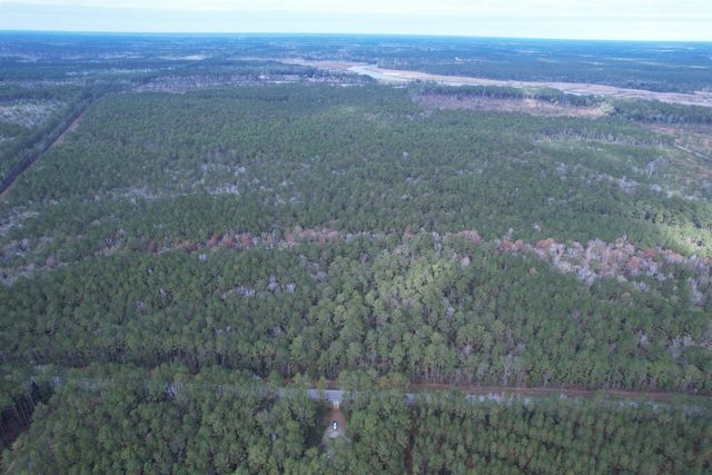 Tract C - TBD Pennyroyal Rd., Georgetown, SC 29440
