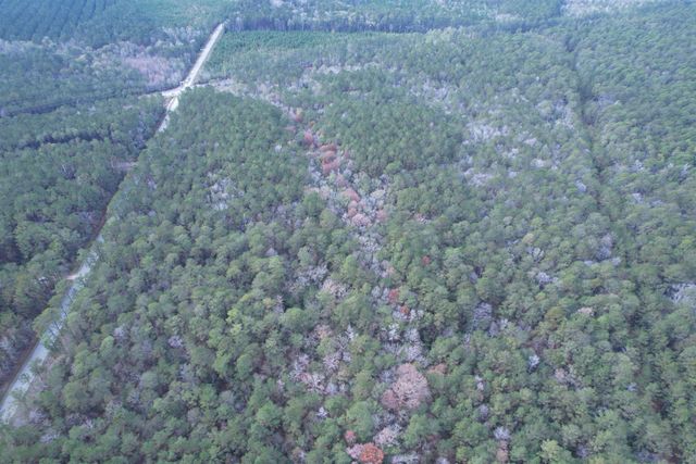 Tract C - TBD Pennyroyal Rd., Georgetown, SC 29440