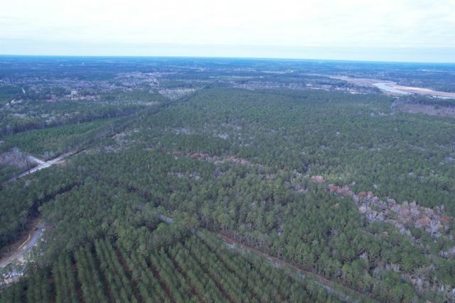 Tract C - TBD Pennyroyal Rd., Georgetown, SC 29440