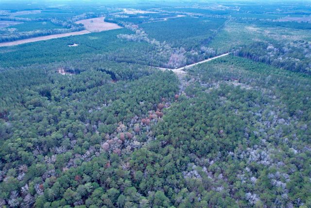 Tract C - TBD Pennyroyal Rd., Georgetown, SC 29440