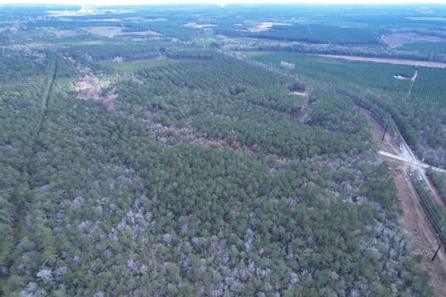 Tract C - TBD Pennyroyal Rd., Georgetown, SC 29440