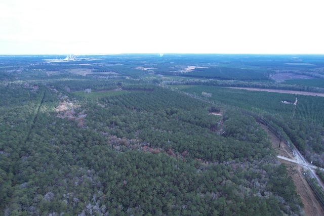 Tract C - TBD Pennyroyal Rd., Georgetown, SC 29440