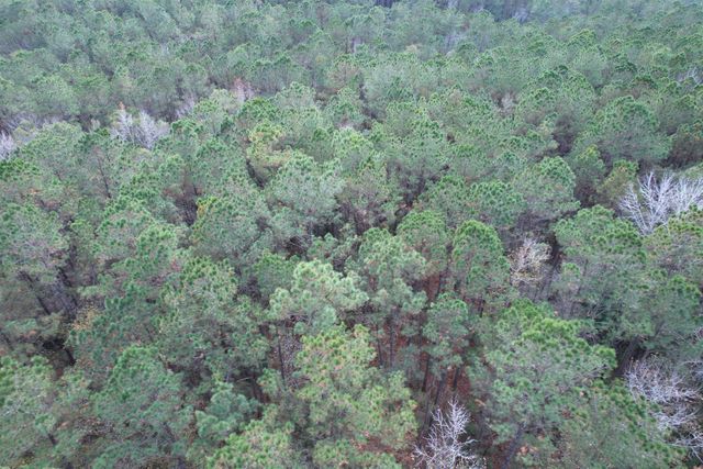 Tract C - TBD Pennyroyal Rd., Georgetown, SC 29440