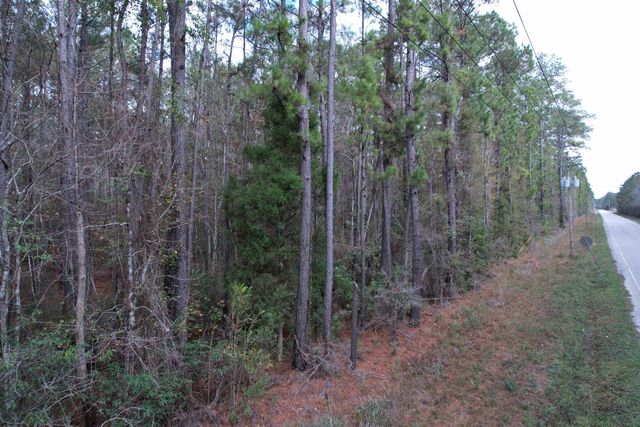 Tract C - TBD Pennyroyal Rd., Georgetown, SC 29440