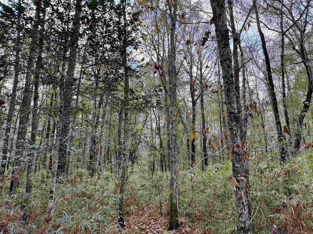 Tract C - TBD Pennyroyal Rd., Georgetown, SC 29440