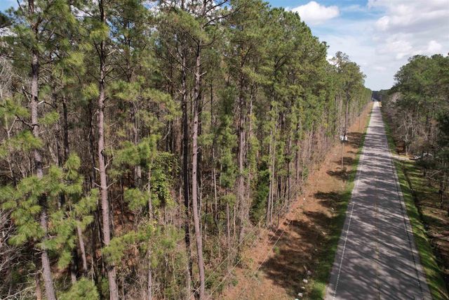 Tract C - TBD Pennyroyal Rd., Georgetown, SC 29440
