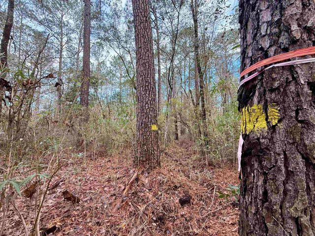 Tract C - TBD Pennyroyal Rd., Georgetown, SC 29440