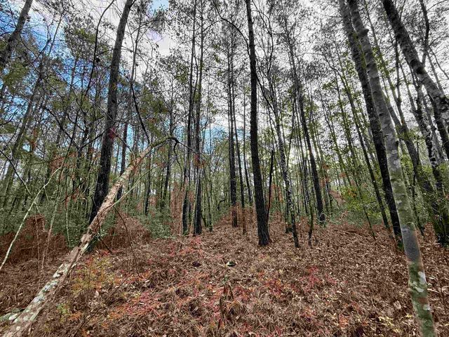 Tract C - TBD Pennyroyal Rd., Georgetown, SC 29440