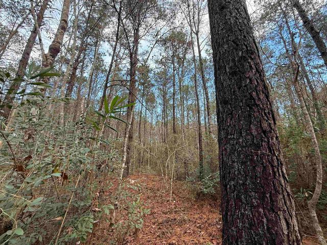 Tract C - TBD Pennyroyal Rd., Georgetown, SC 29440