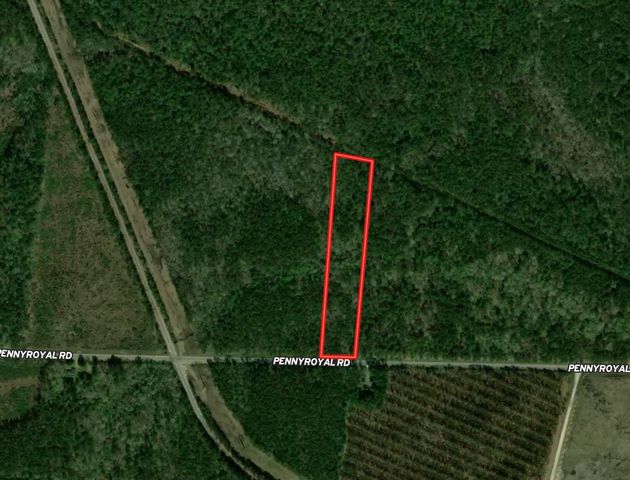 Tract C - TBD Pennyroyal Rd., Georgetown, SC 29440