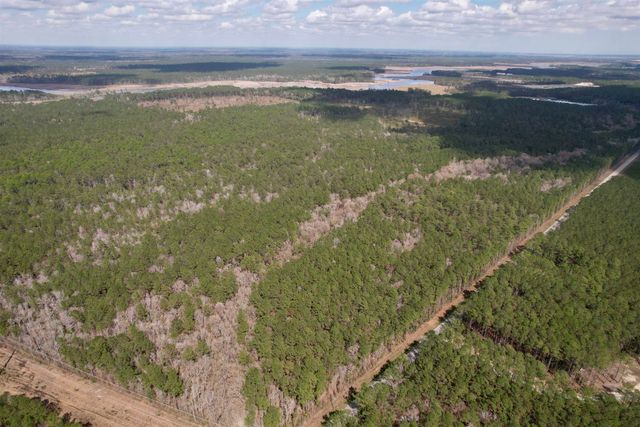 Tract C - TBD Pennyroyal Rd., Georgetown, SC 29440