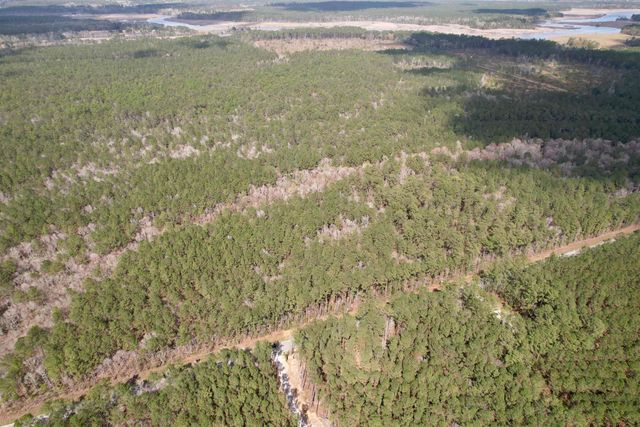 Tract C - TBD Pennyroyal Rd., Georgetown, SC 29440