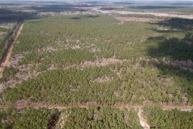 Tract C - TBD Pennyroyal Rd., Georgetown, SC 29440