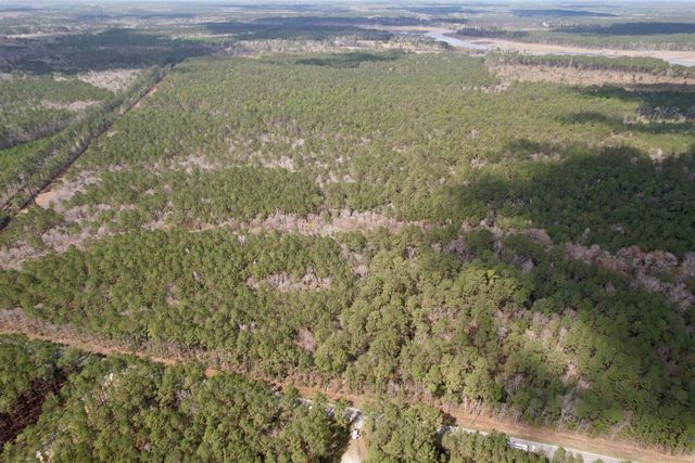 Tract C - TBD Pennyroyal Rd., Georgetown, SC 29440