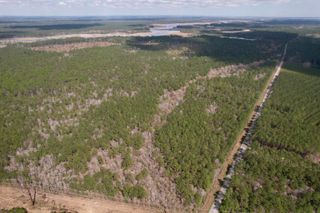 Tract C - TBD Pennyroyal Rd., Georgetown, SC 29440