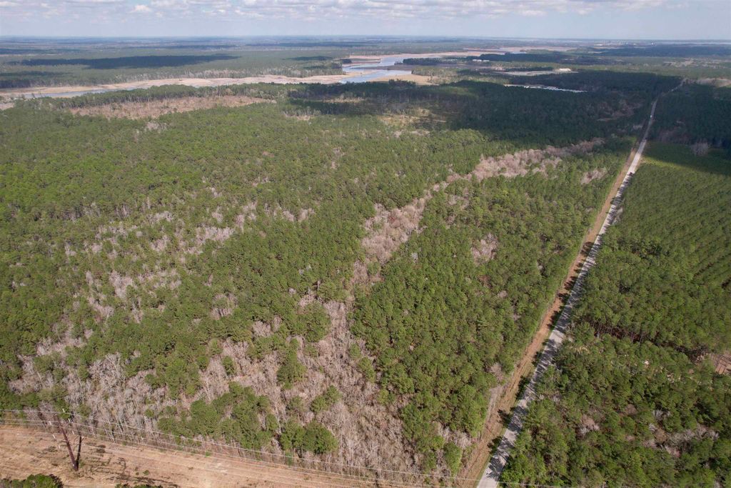 Tract C - TBD Pennyroyal Rd., Georgetown, SC 29440