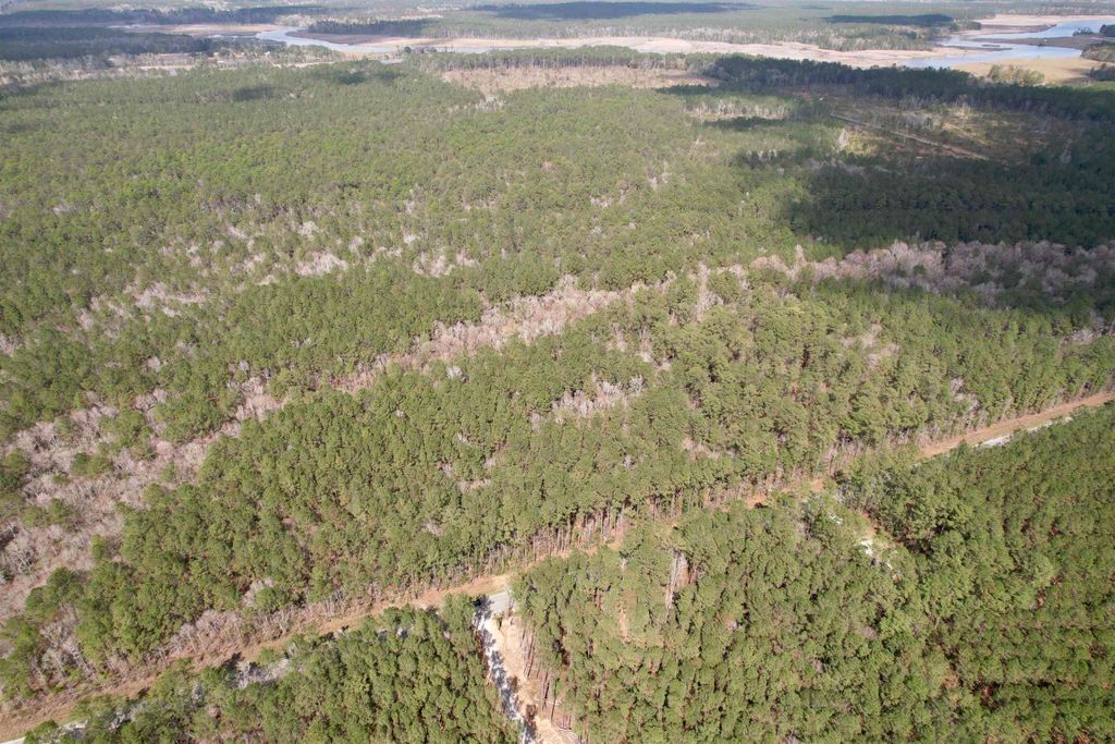 Tract C - TBD Pennyroyal Rd., Georgetown, SC 29440 — photo 5
