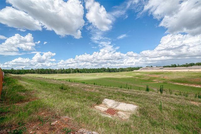 24330 Elmwood Falls Drive, Spring, TX 77373