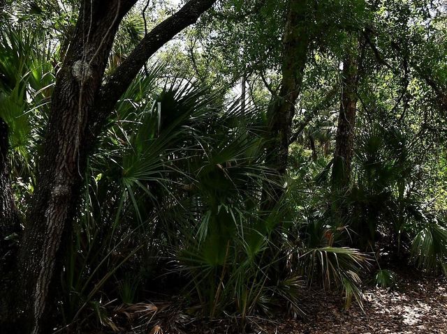 770 N RIVER ROAD 7, Venice, FL 34293