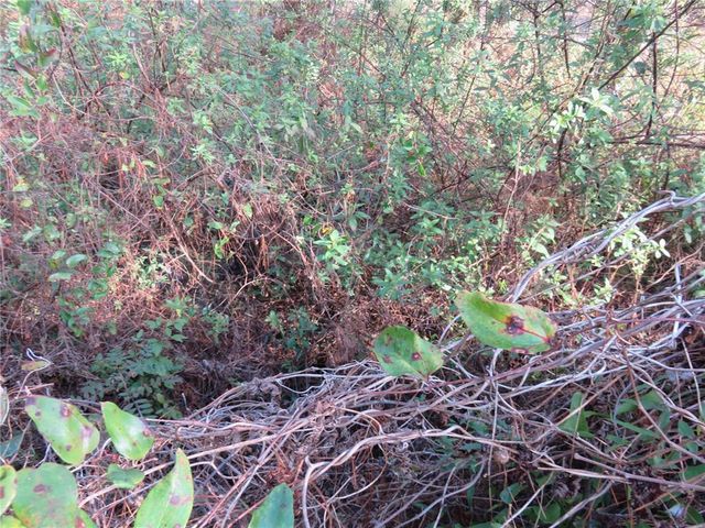 1385 SE 160TH TERRACE, Ocklawaha, FL 32179