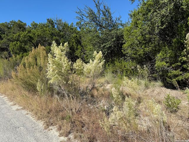 LOT 37 Golf Course Dr. E, Spring Branch, TX 78070