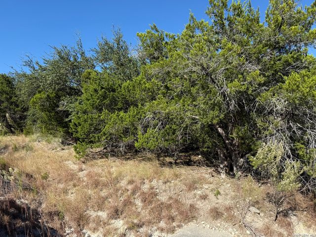 LOT 37 Golf Course Dr. E, Spring Branch, TX 78070