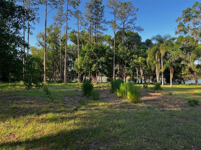 NEWBERGER, Lutz, FL 33549