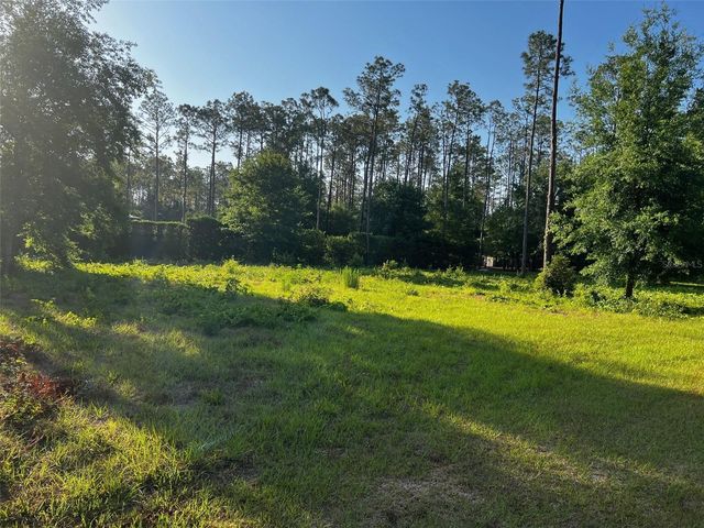 NEWBERGER, Lutz, FL 33549