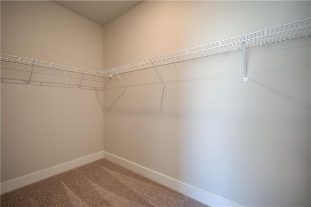 113 Homesite Saddle Drive, Senoia, GA 30276