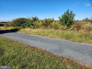 5536 GALESTOWN, Galestown, MD 21659