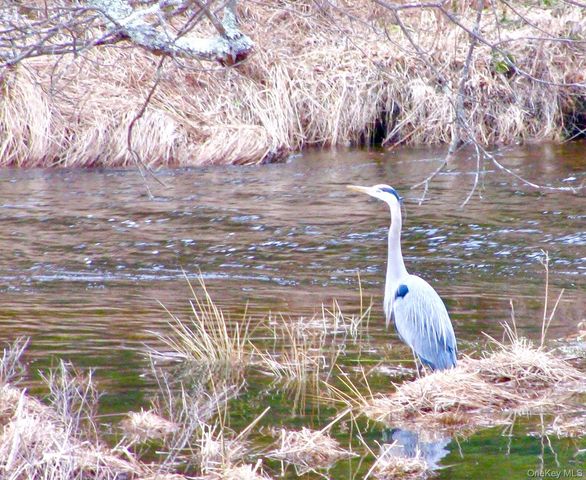 26 Valley Road, Forestburgh, NY 12777