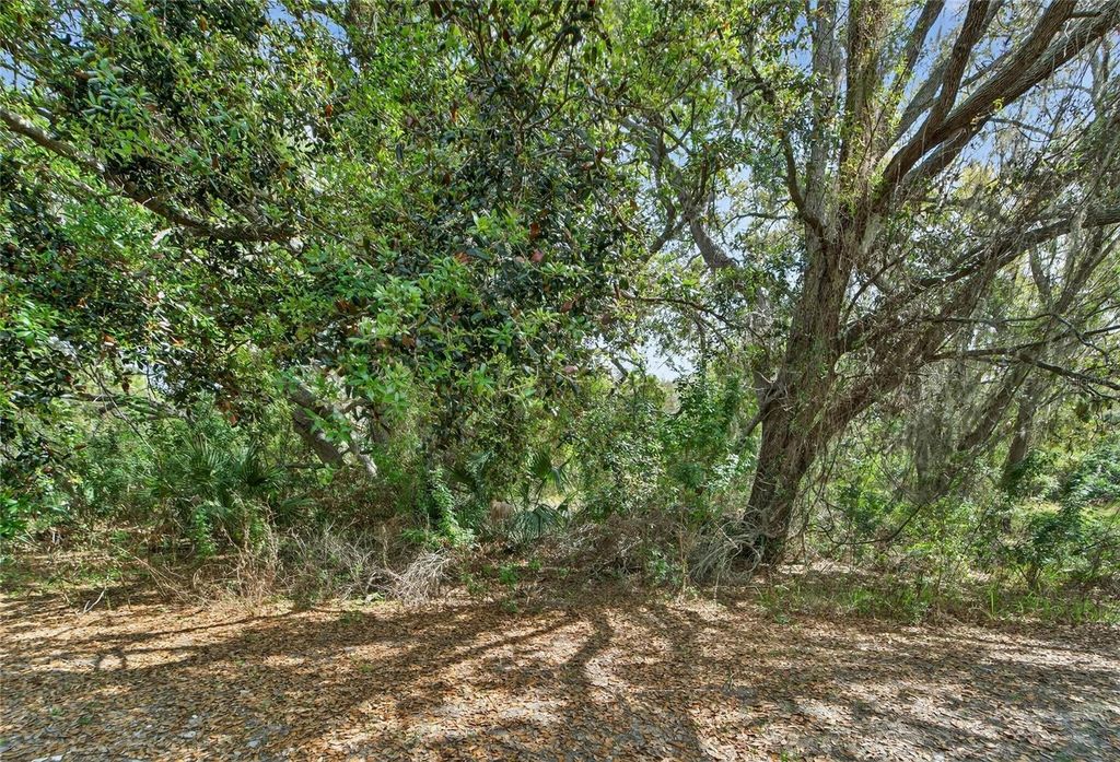 Image 62 of property listing at 9824 HOUND CHASE DRIVE, Gibsonton, FL 33534