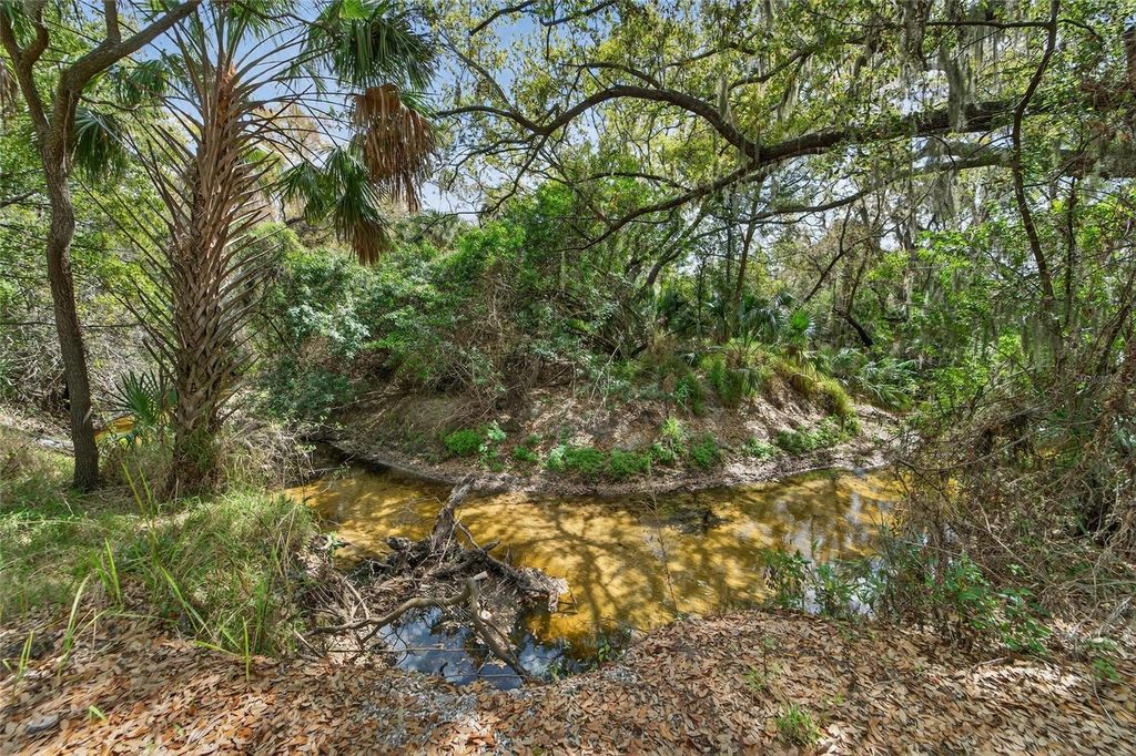 Image 66 of property listing at 9824 HOUND CHASE DRIVE, Gibsonton, FL 33534