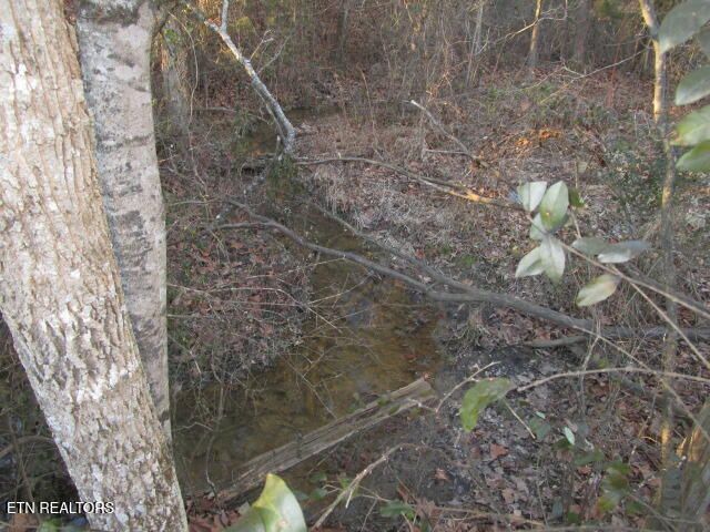 430 Basswood Lane, Kodak, TN 37764