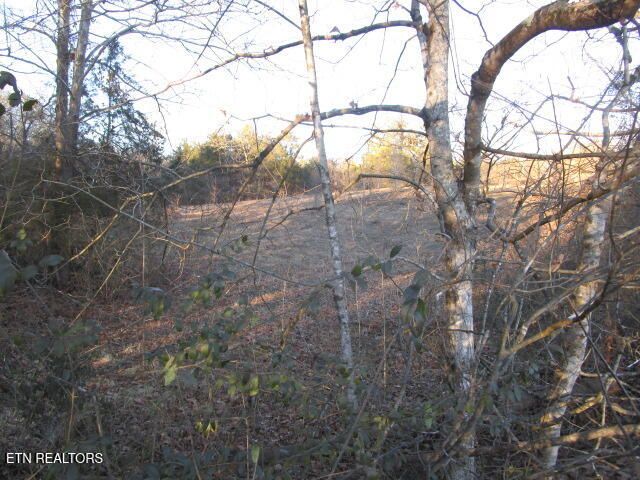 430 Basswood Lane, Kodak, TN 37764