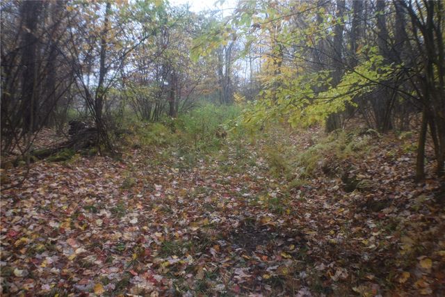 0 Crandall Rd & County Rd 37, Guilford, NY 13780