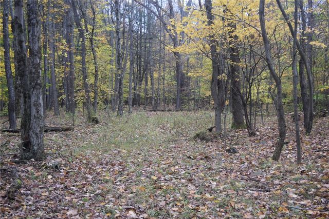 0 Crandall Rd & County Rd 37, Guilford, NY 13780