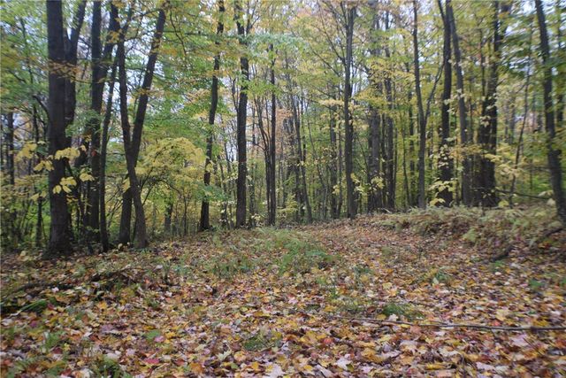 0 Crandall Rd & County Rd 37, Guilford, NY 13780