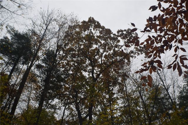 0 Crandall Rd & County Rd 37, Guilford, NY 13780