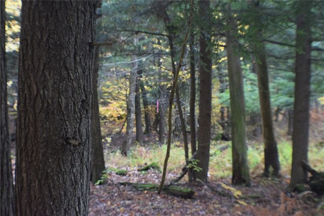 0 Crandall Rd & County Rd 37, Guilford, NY 13780