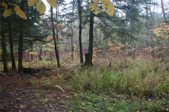 0 Crandall Rd & County Rd 37, Guilford, NY 13780