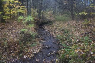 0 Crandall Rd & County Rd 37, Guilford, NY 13780