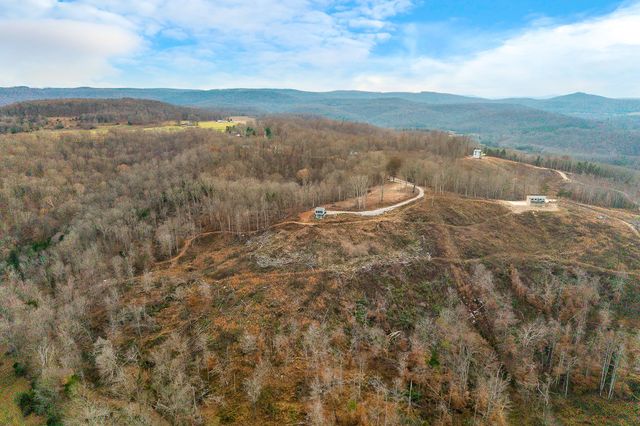 431 Bald Knob Cummings cove roads, Doyle, TN 38559